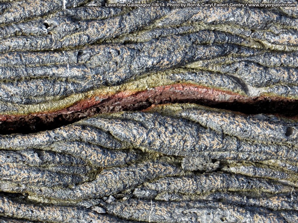 click for next image