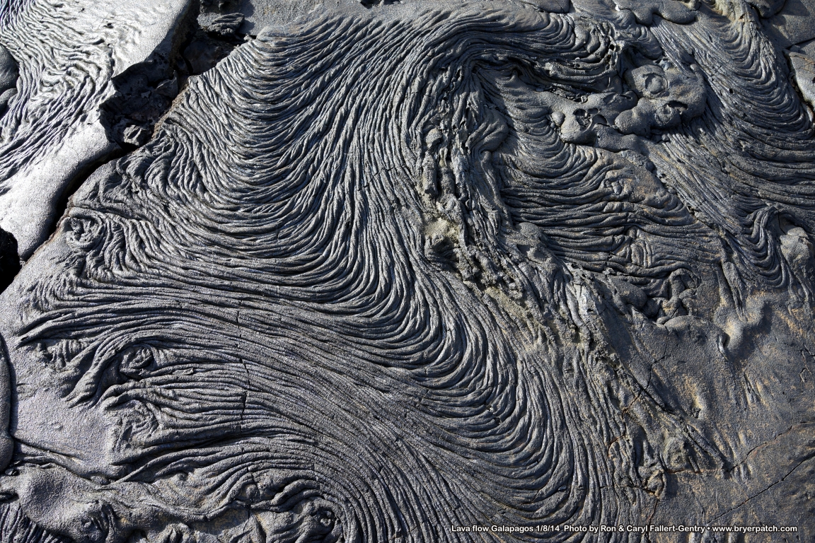 click for next image