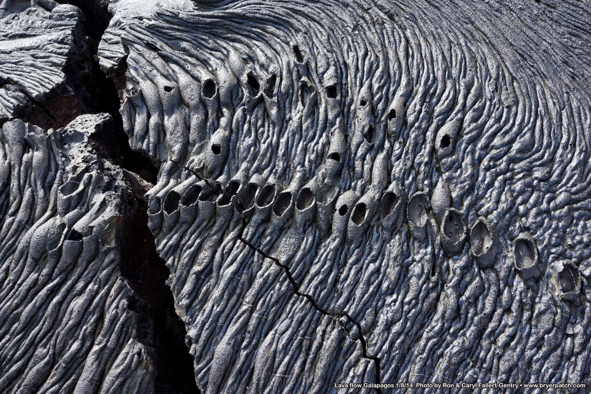 click for next image