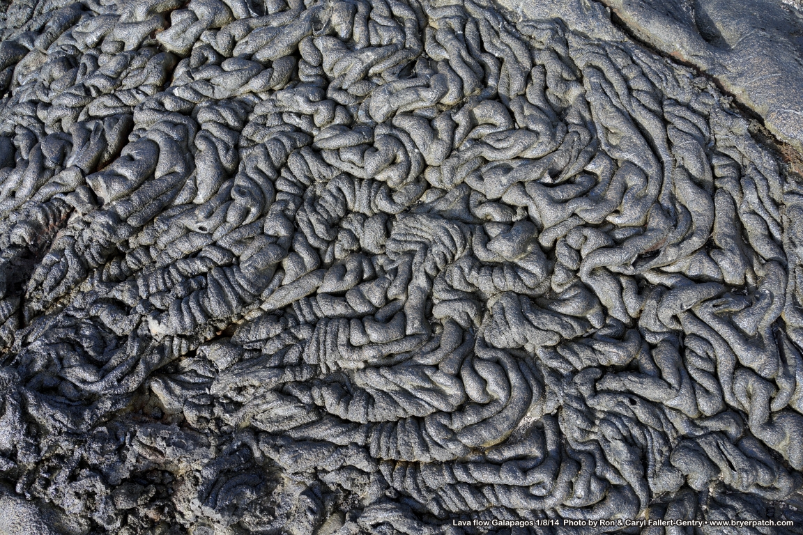 click for next image