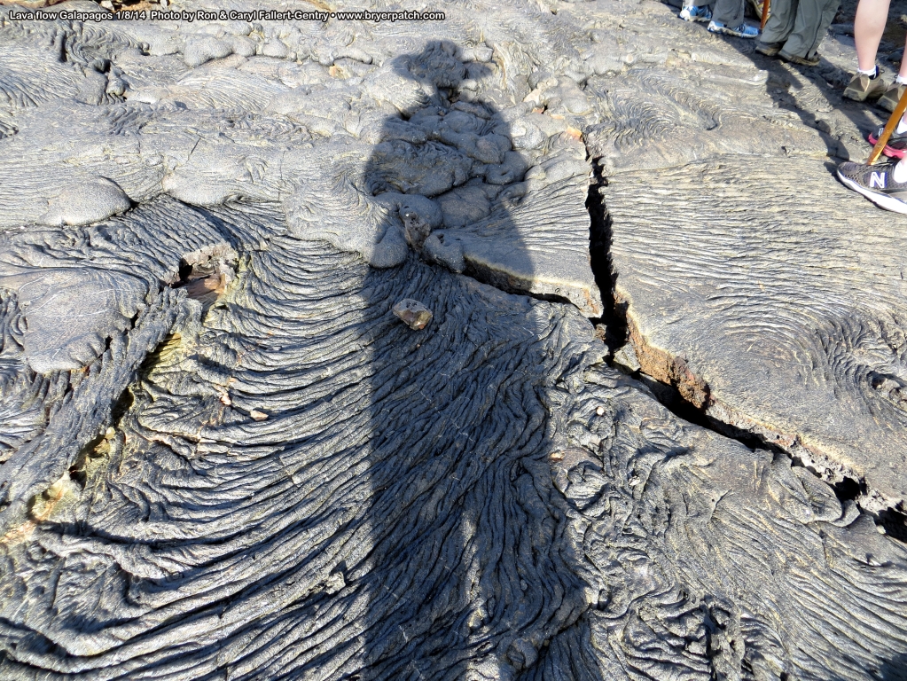 click for next image