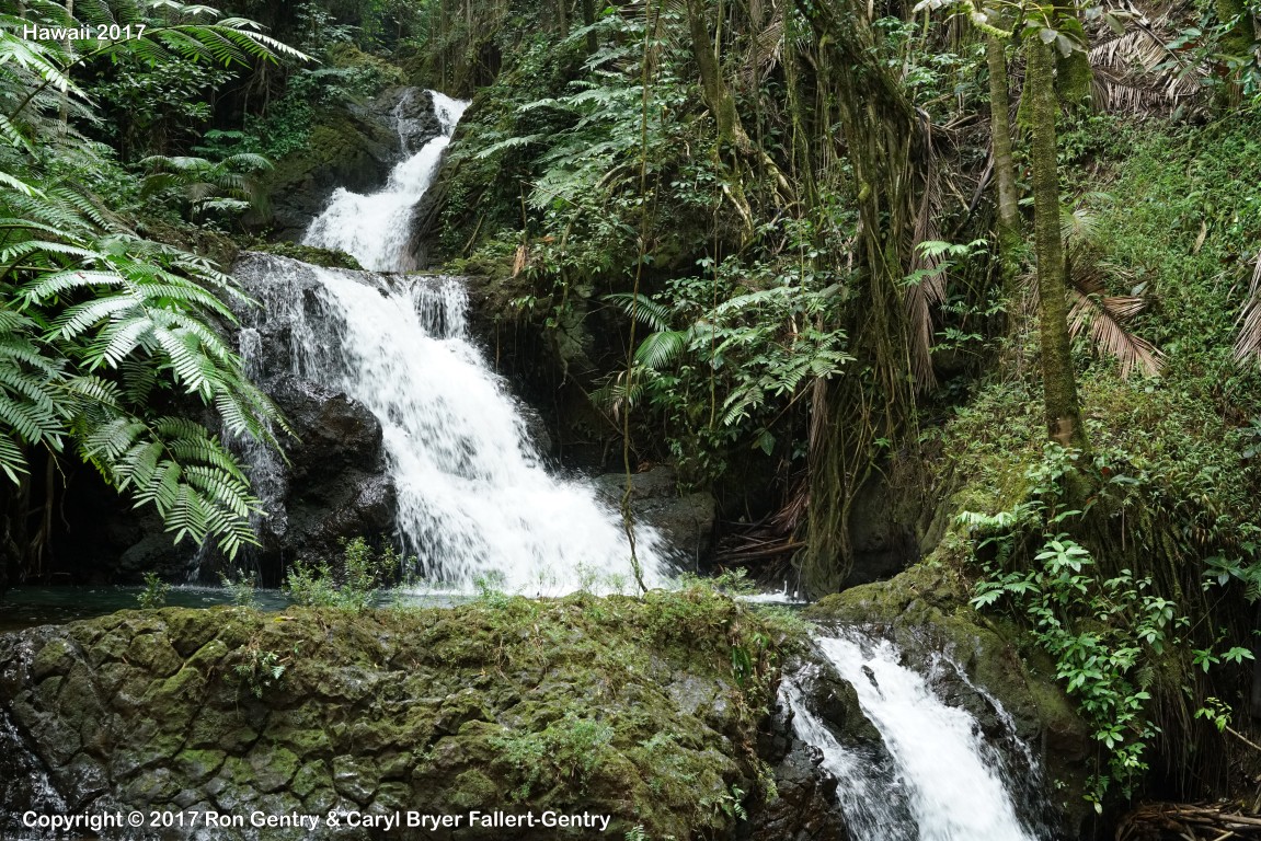 click for next image