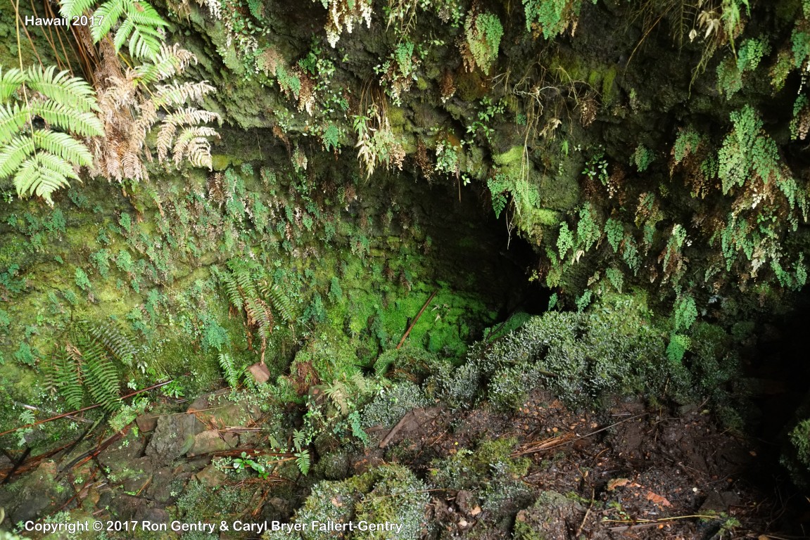 click for next image