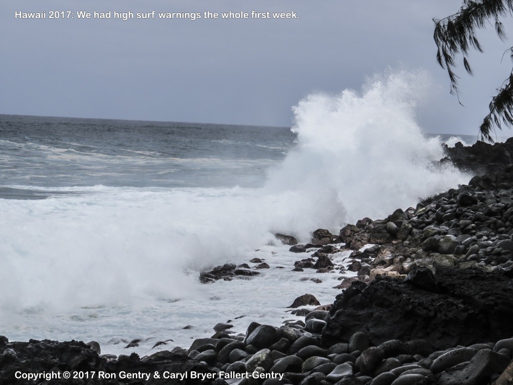 click for next image