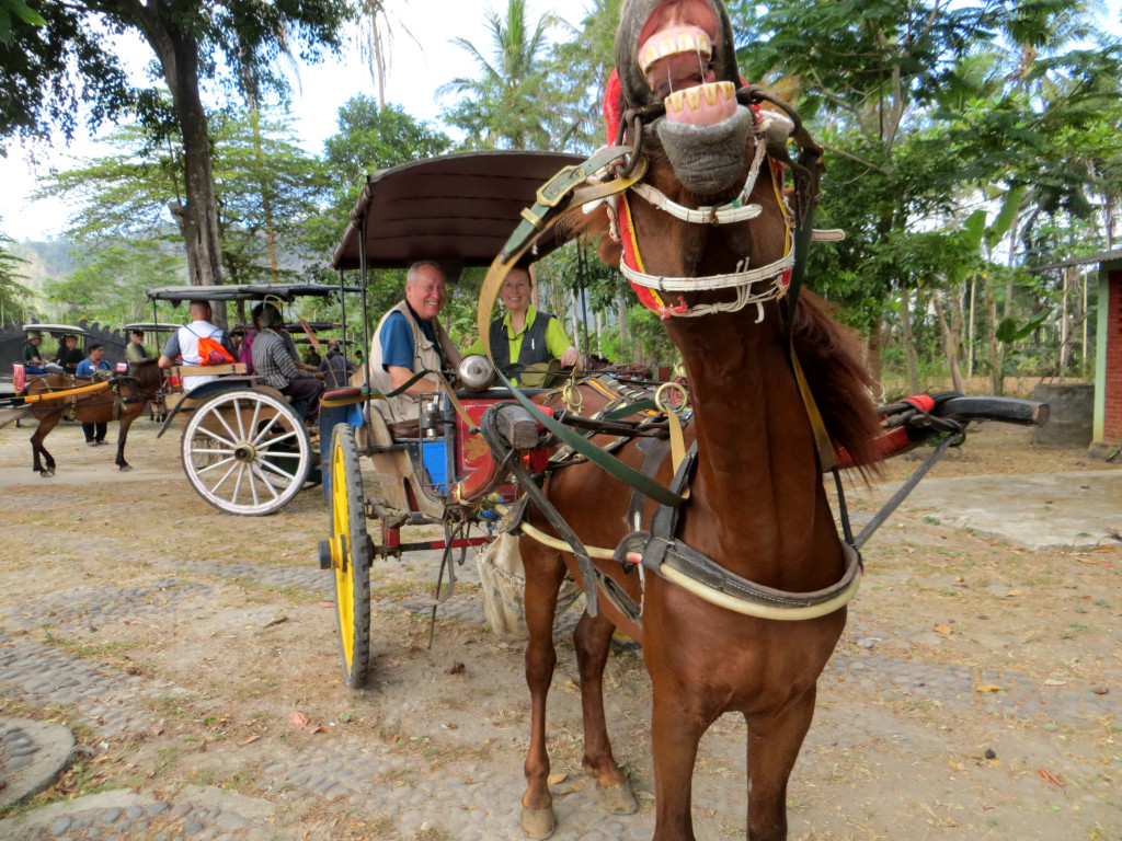 click for next image