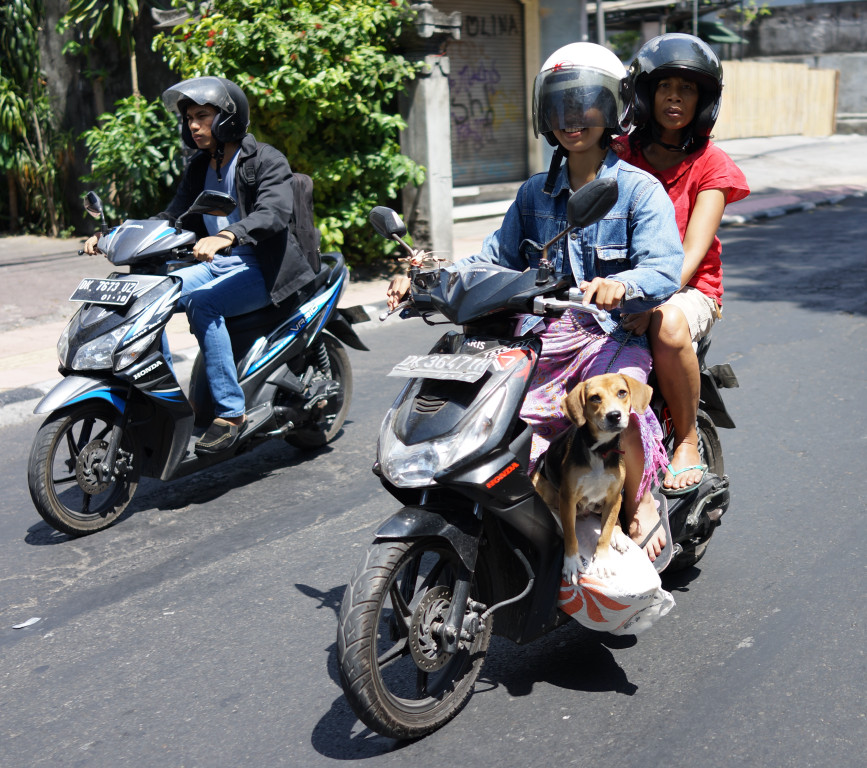 click for next image