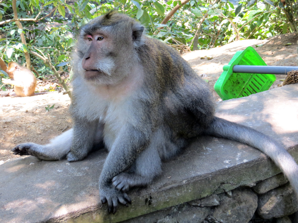 click for next image