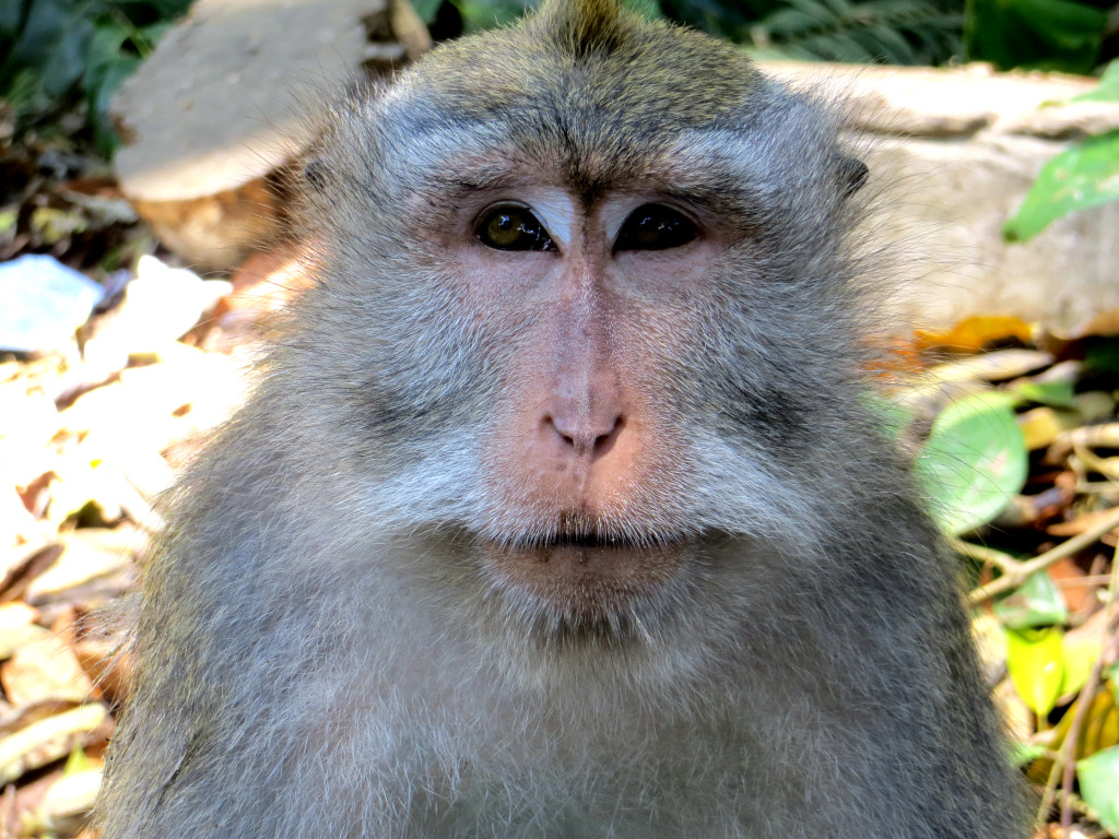 click for next image