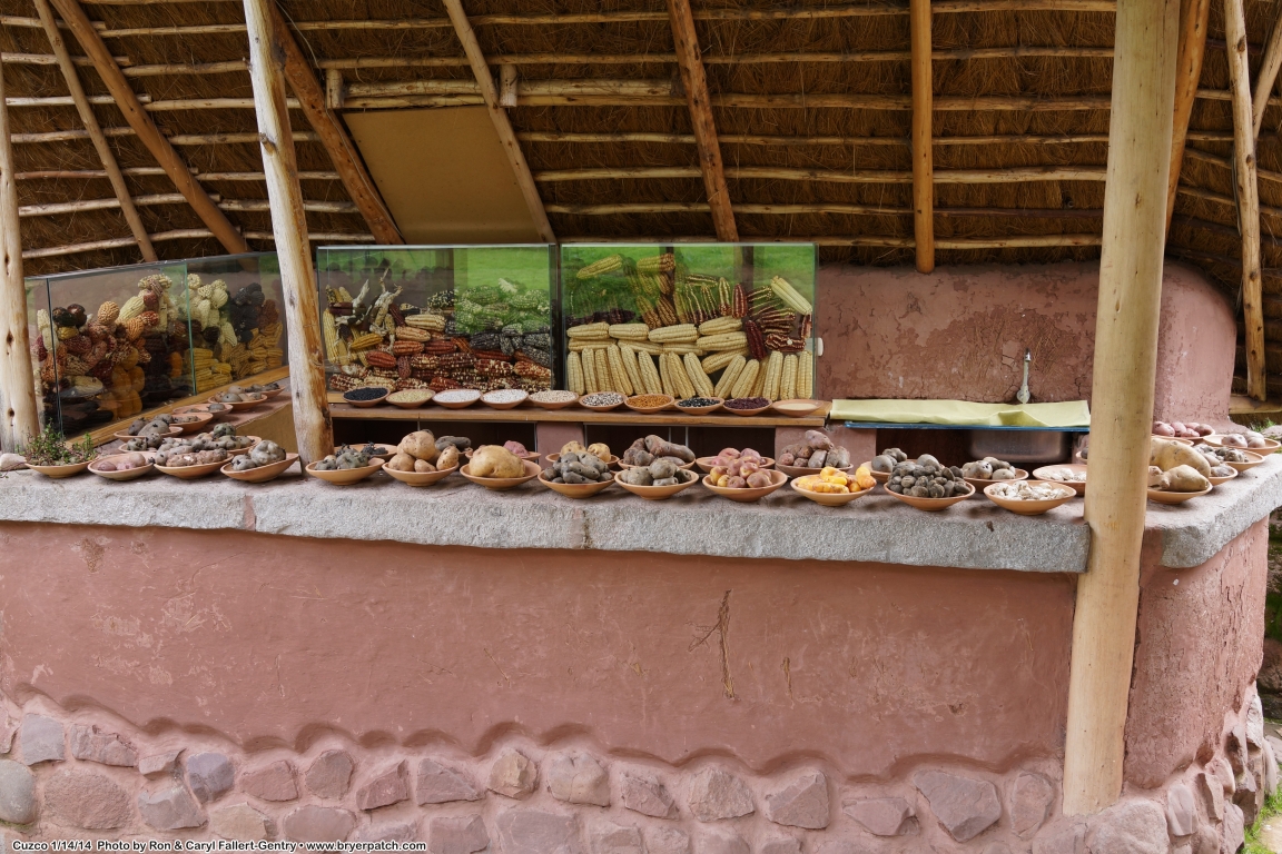 click for next image