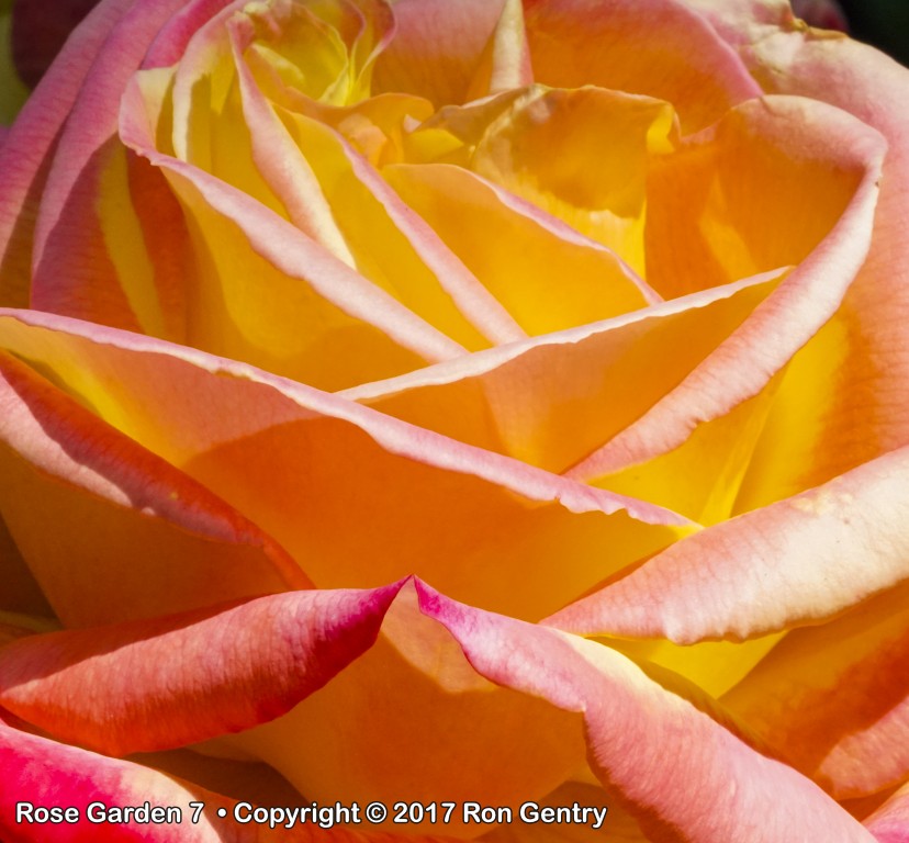 click for next image