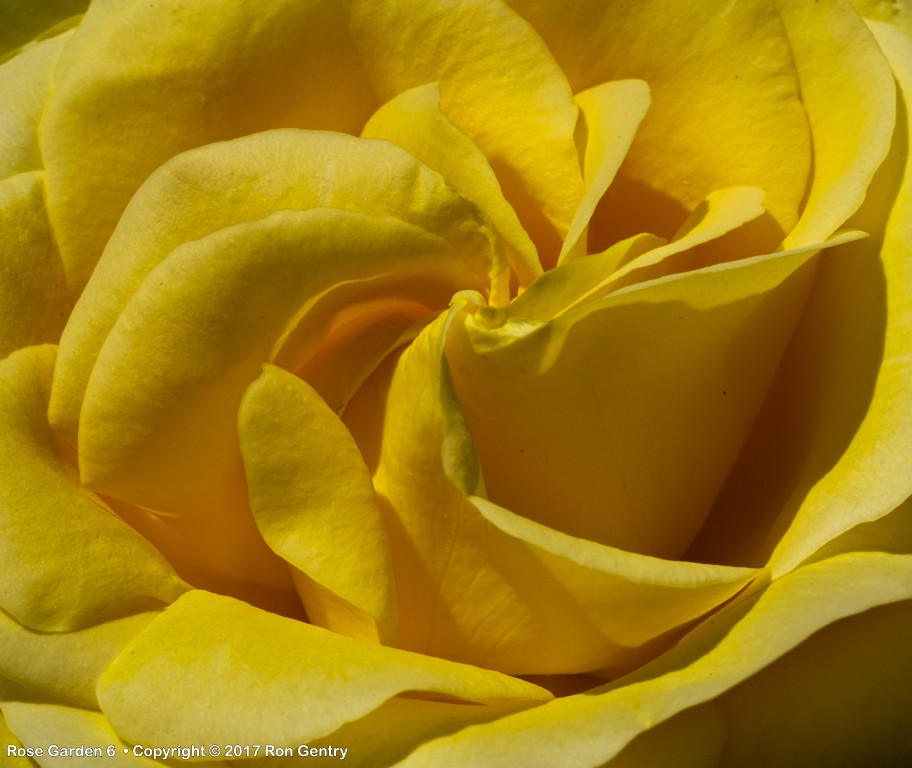 click for next image