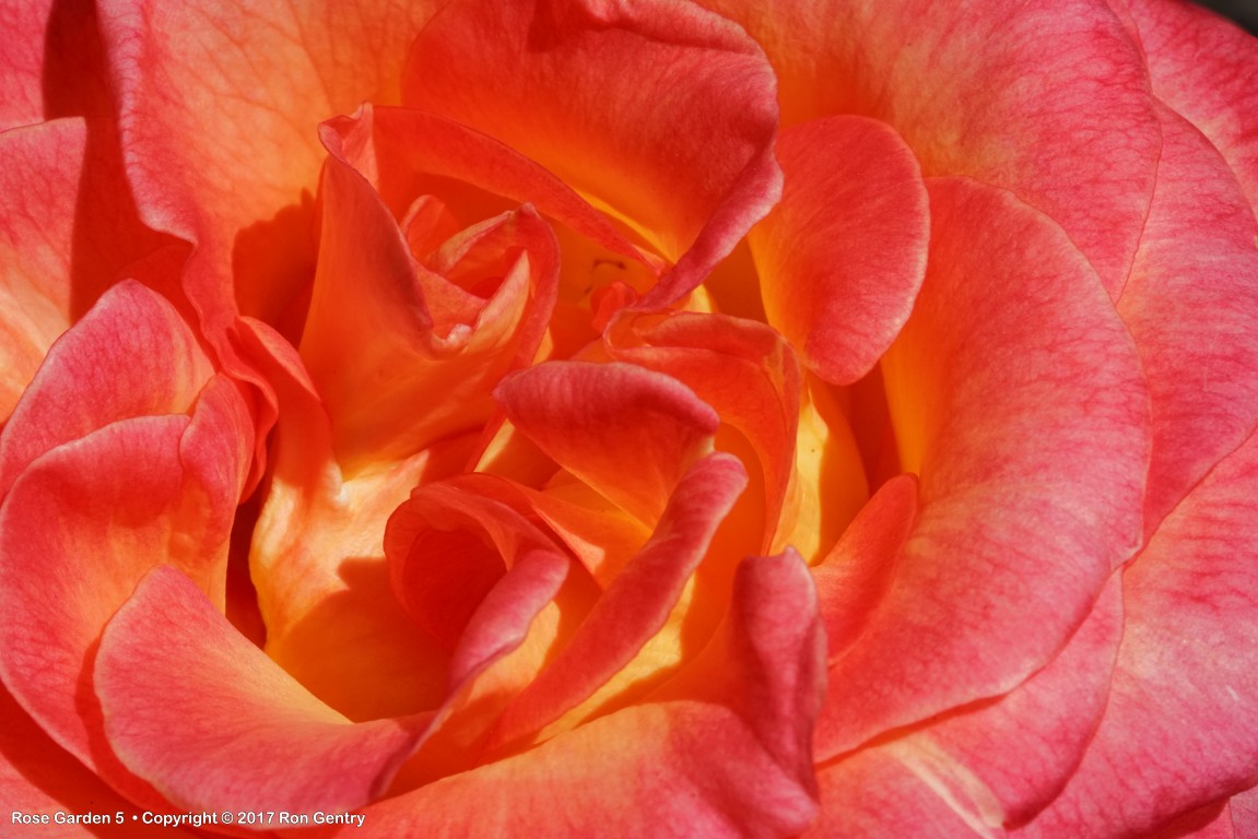 click for next image