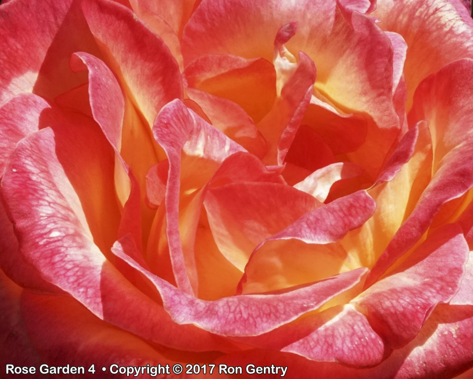 click for next image