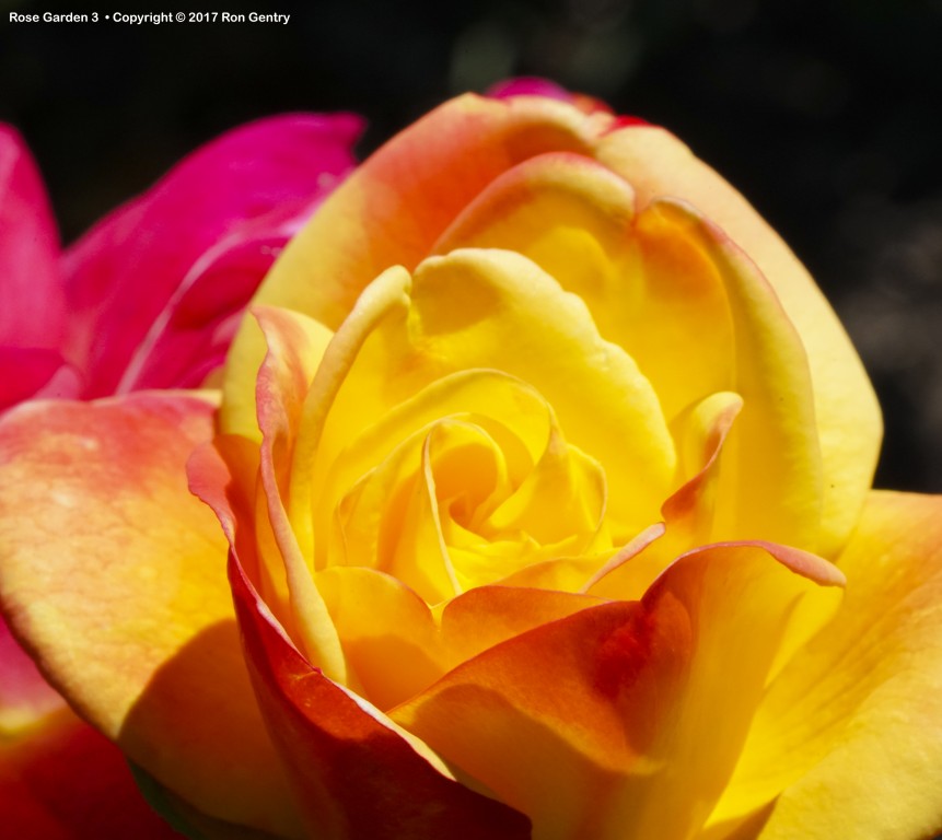 click for next image