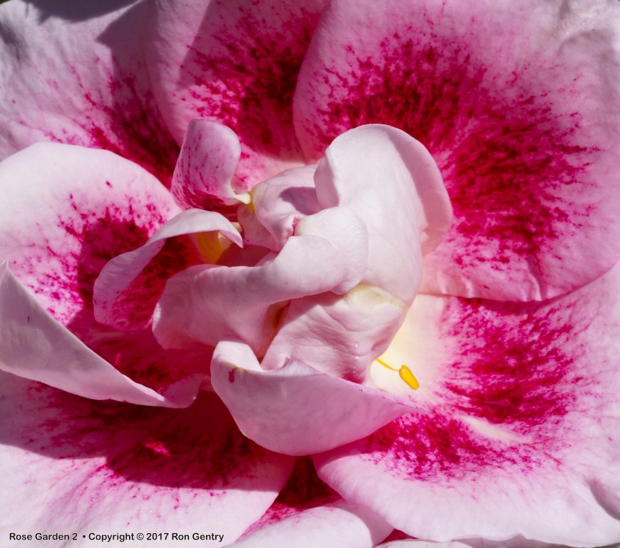 click for next image