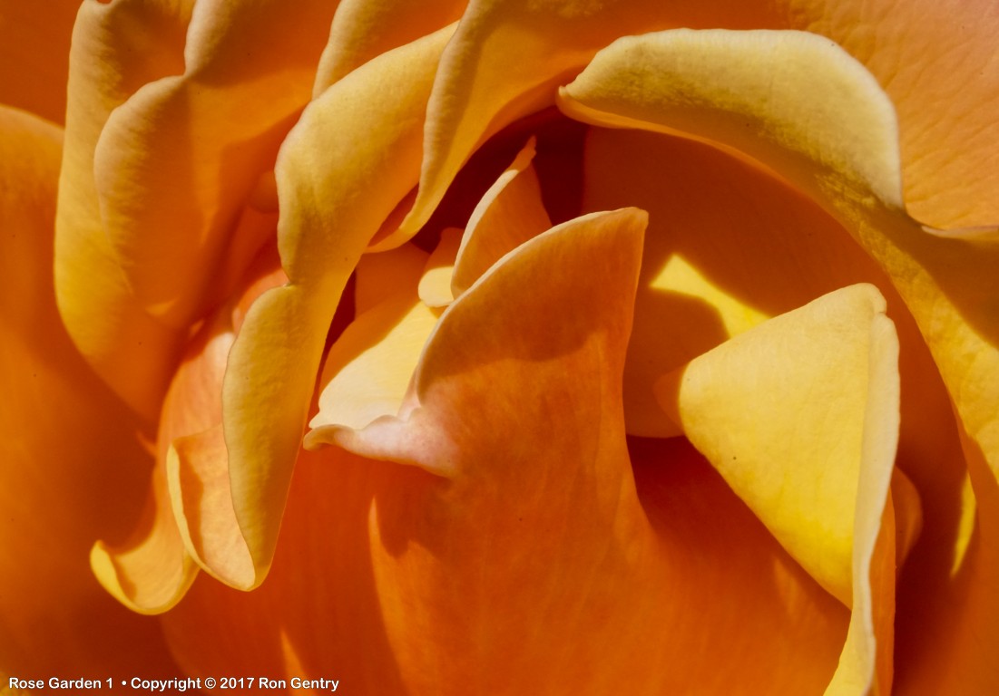 click for next image