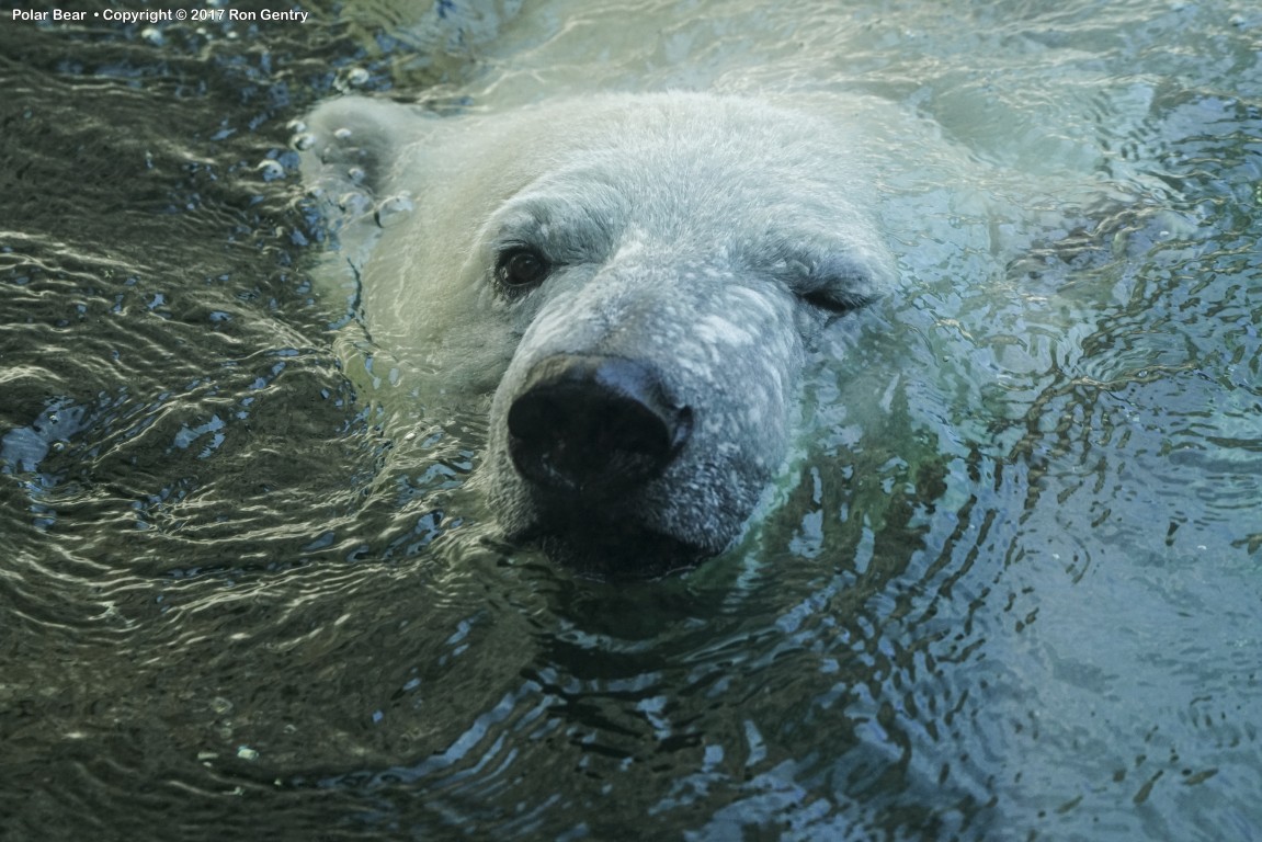 click for next image