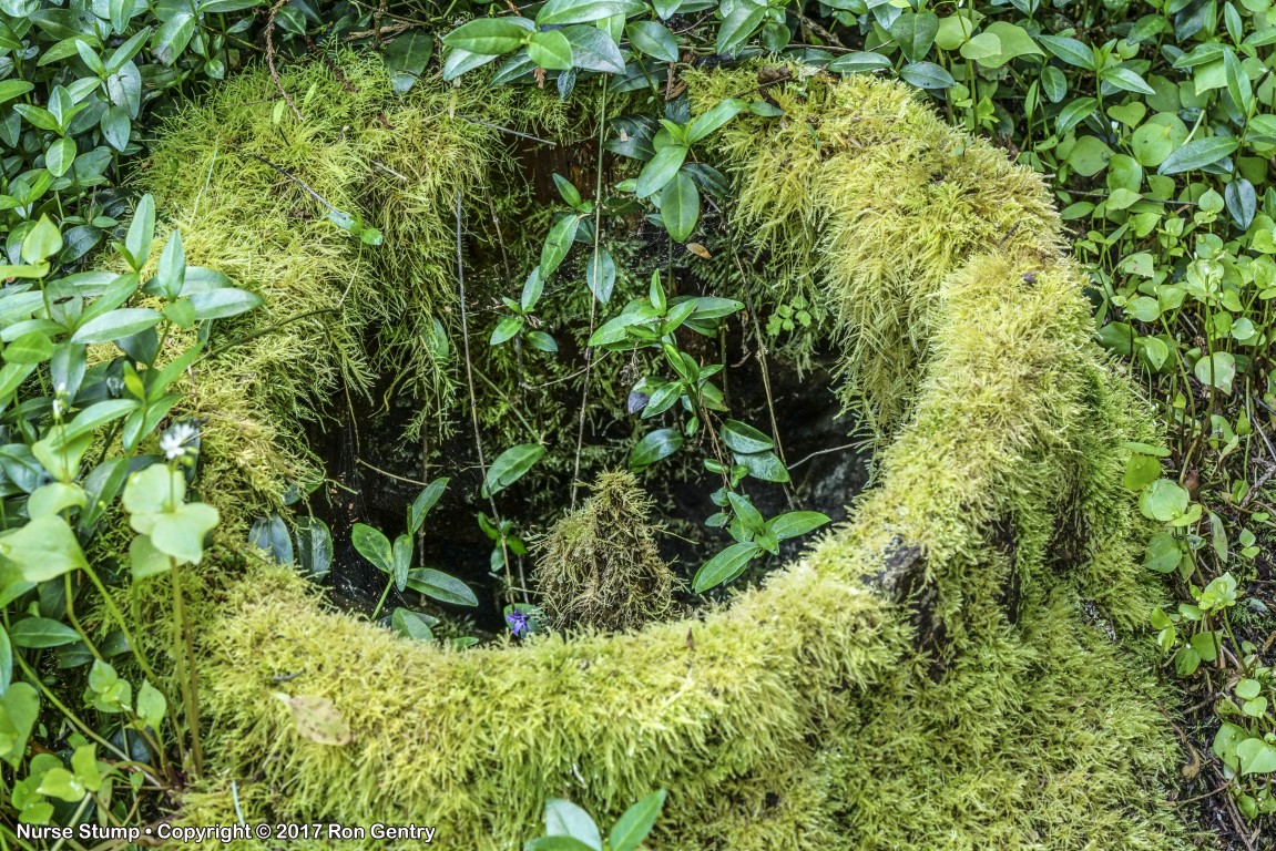 click for next image