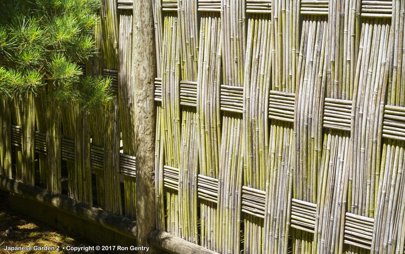 click for next image