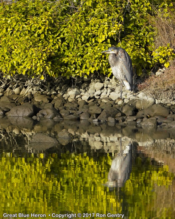 click for next image