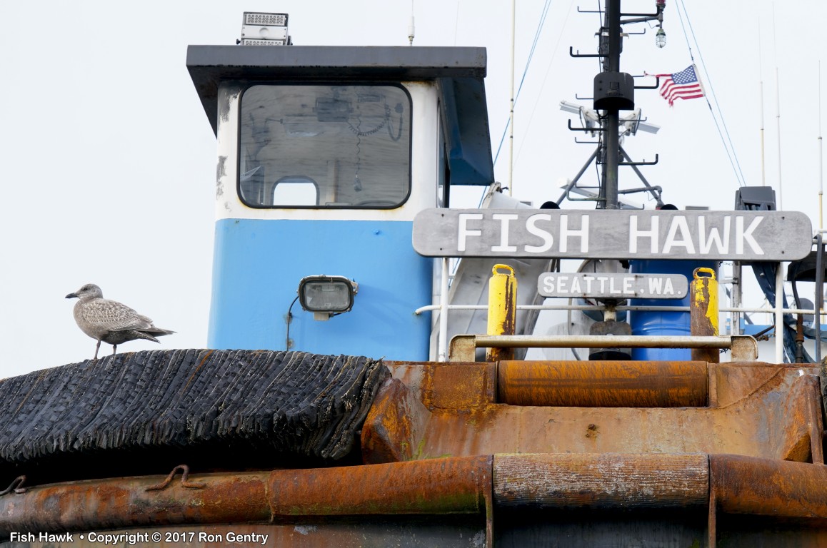 click for next image