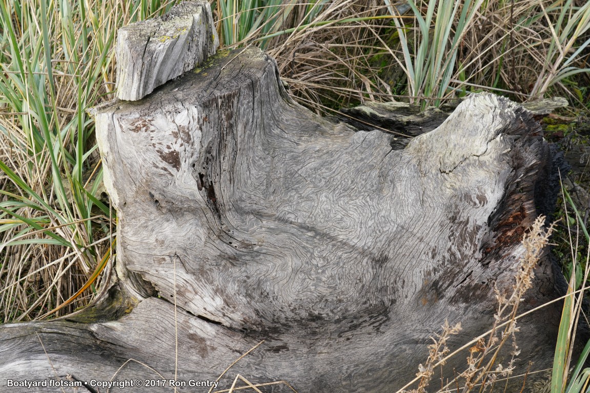 click for next image