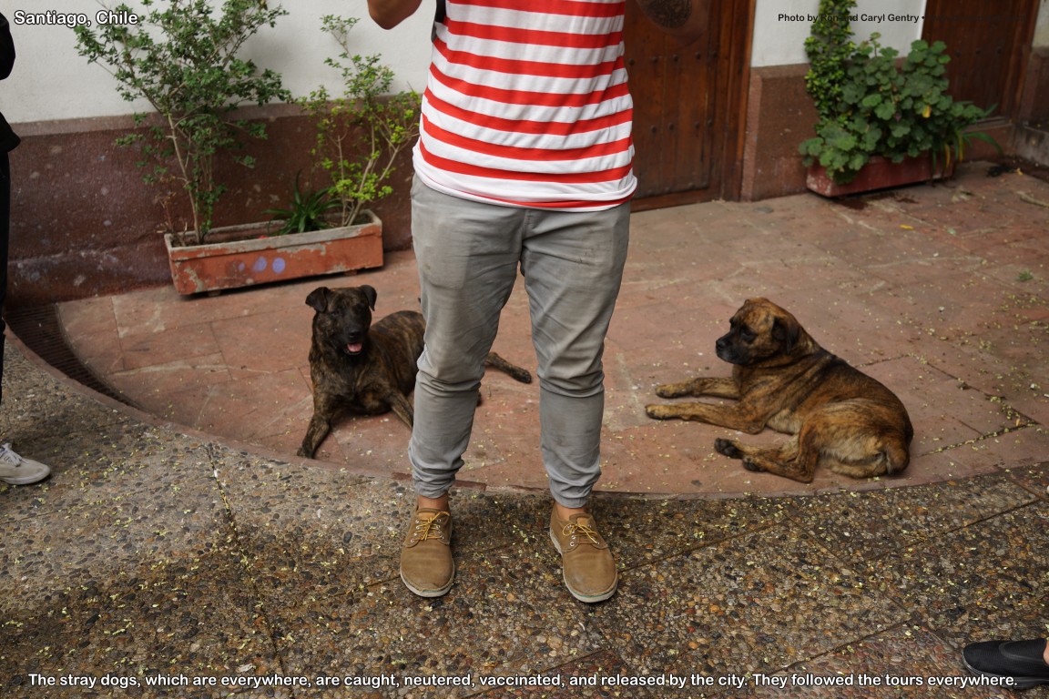 click for next image