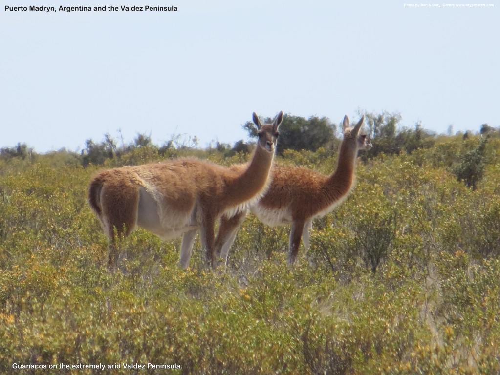 click for next image