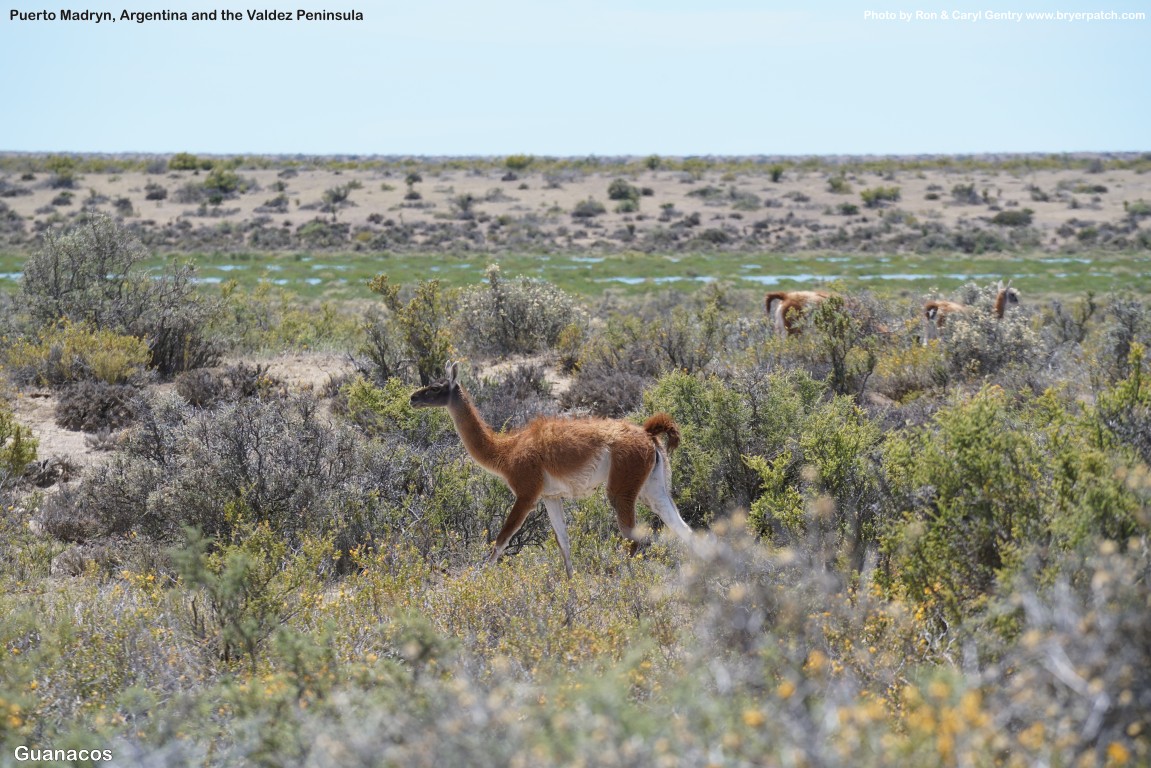 click for next image