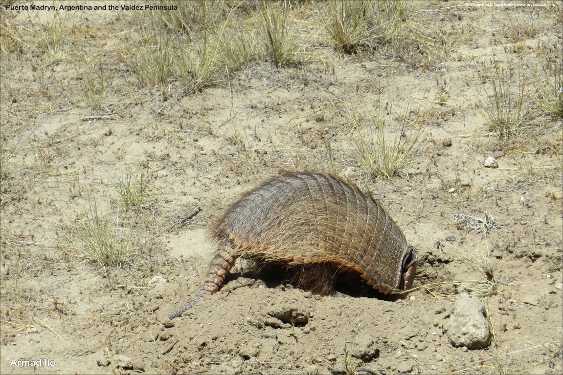 click for next image