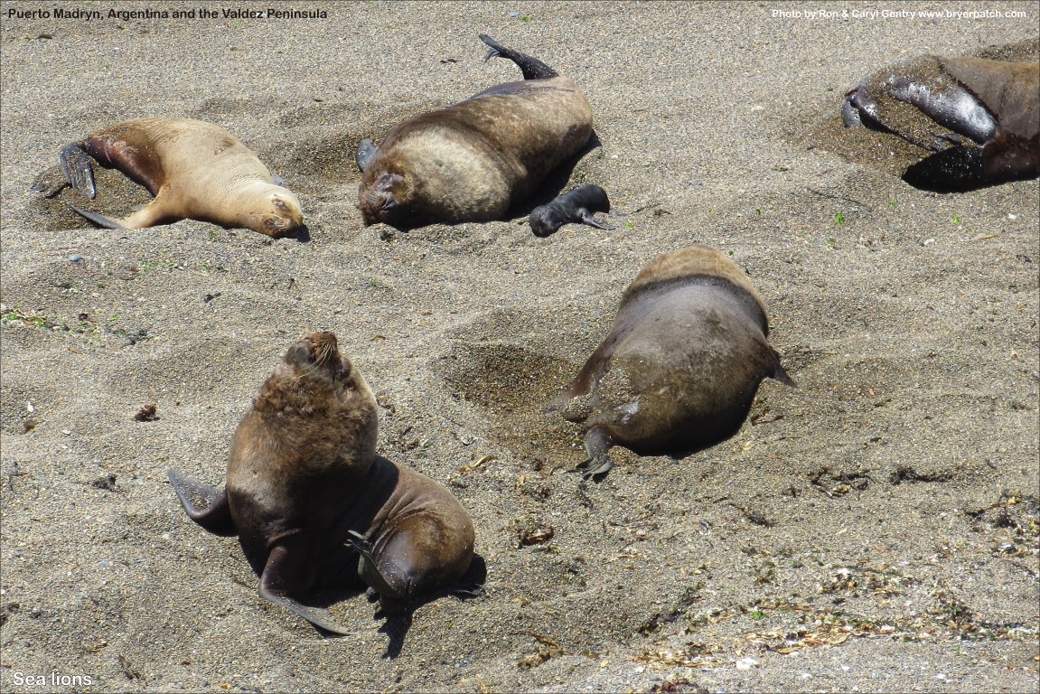 click for next image