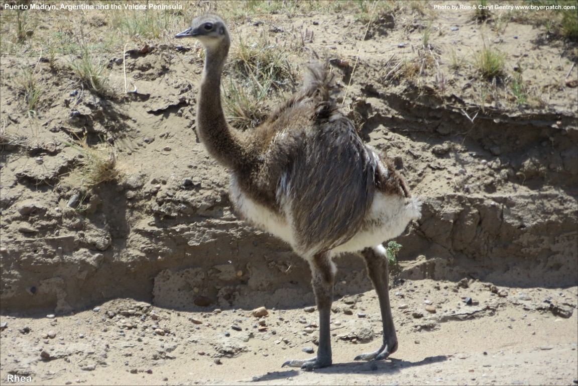 click for next image