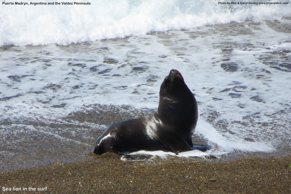 click for next image