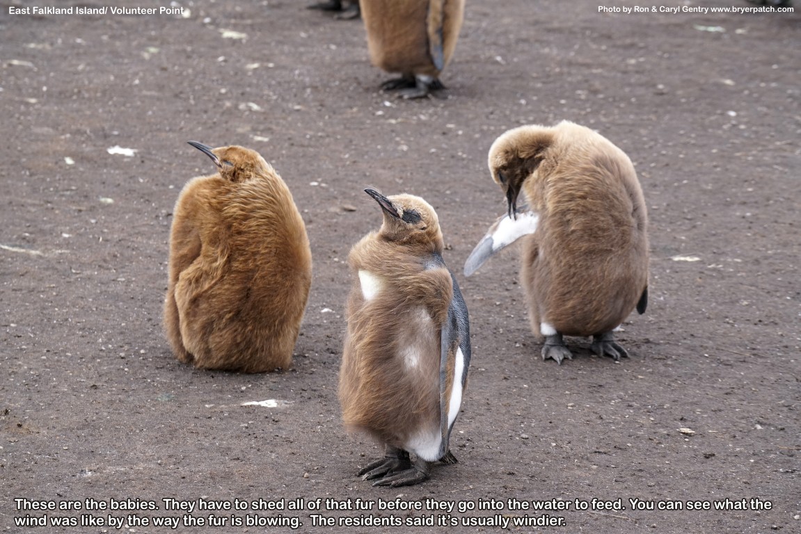 click for next image