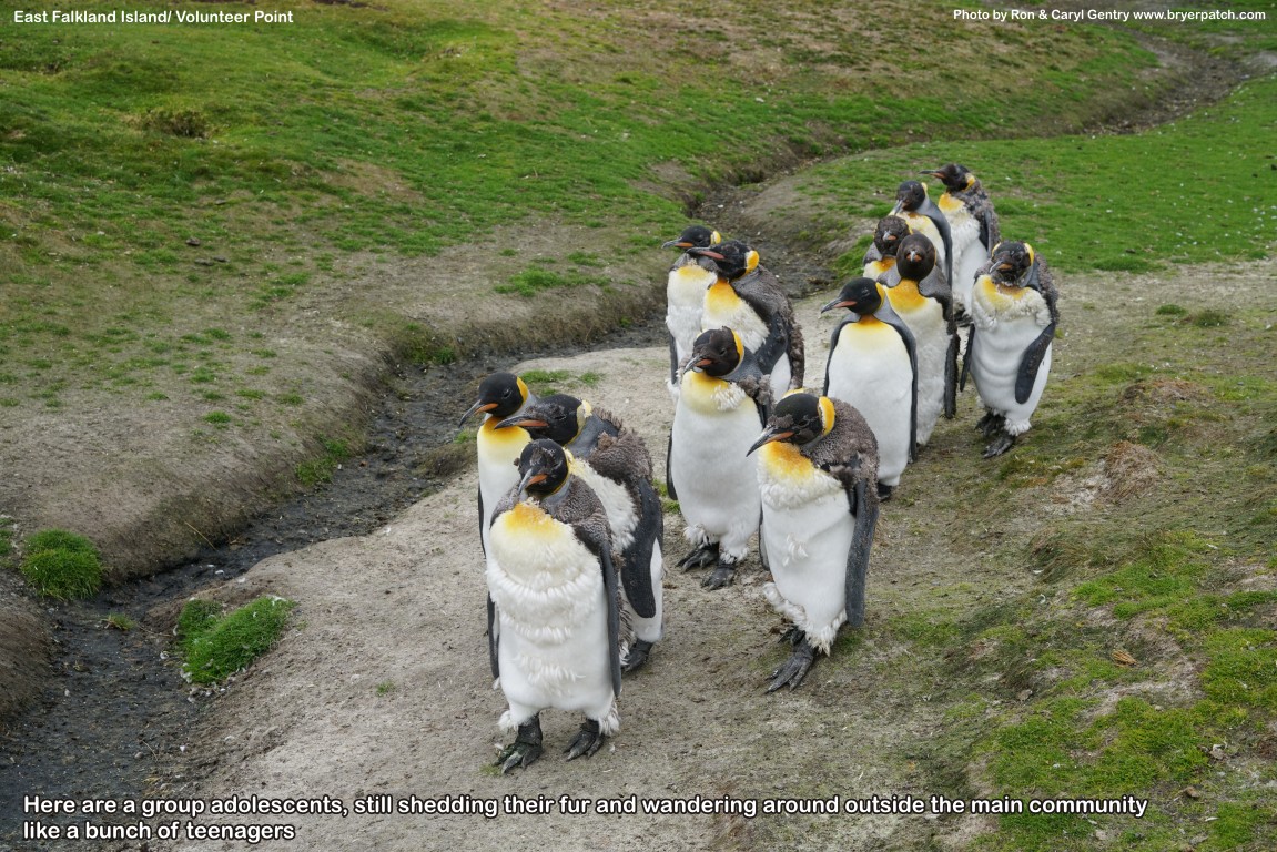 click for next image