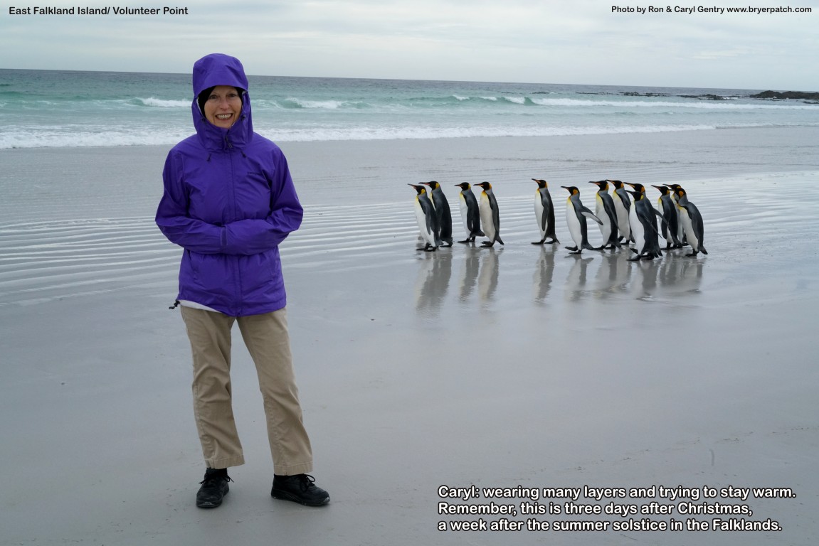 click for next image