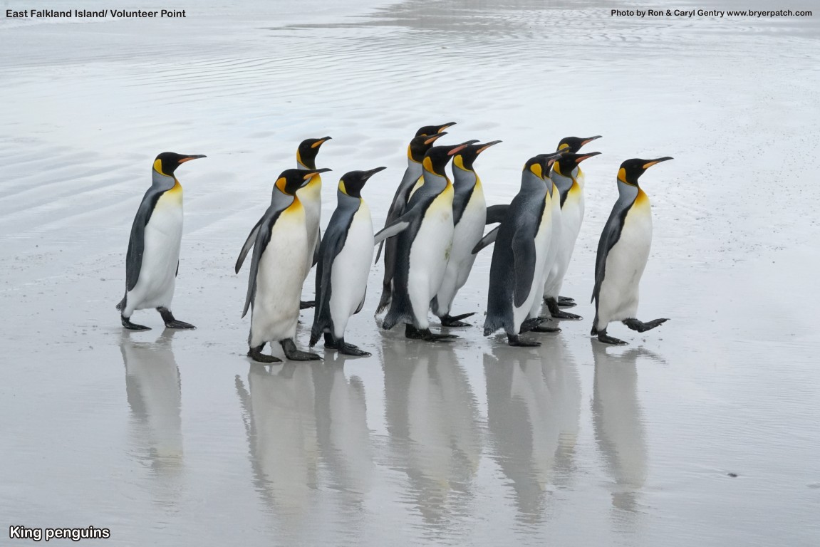 click for next image