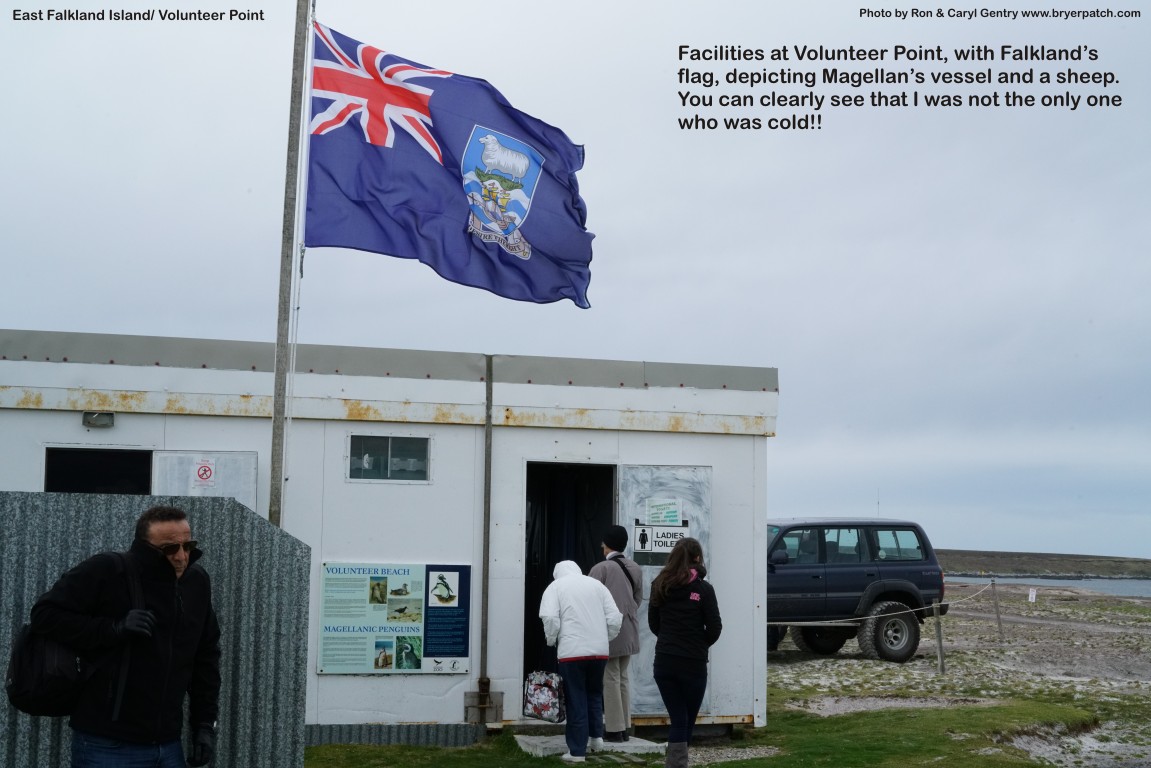 click for next image