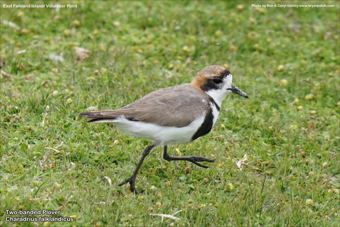 click for next image