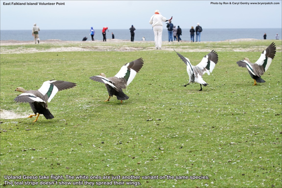 click for next image