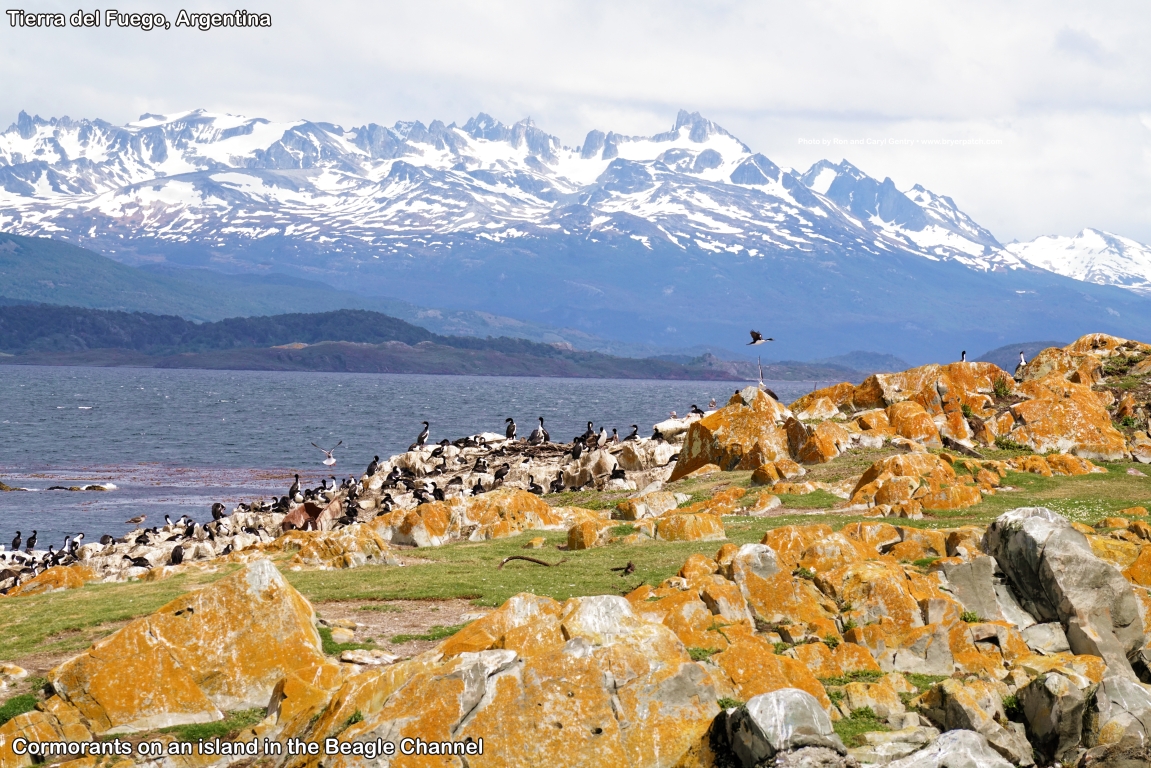 click for next image