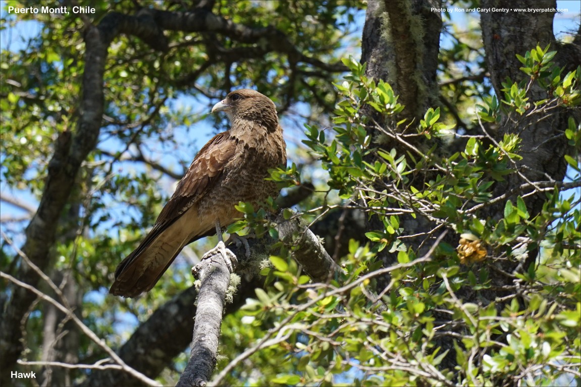 click for next image